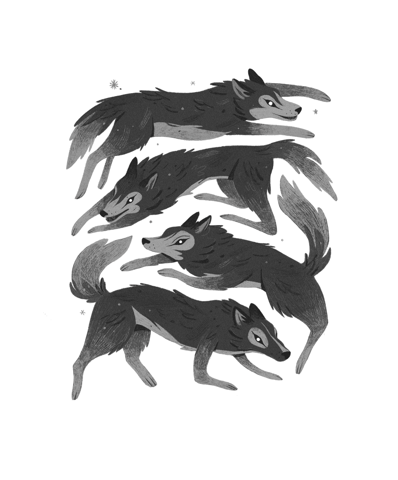 🐺Prologue: Wolf Pack