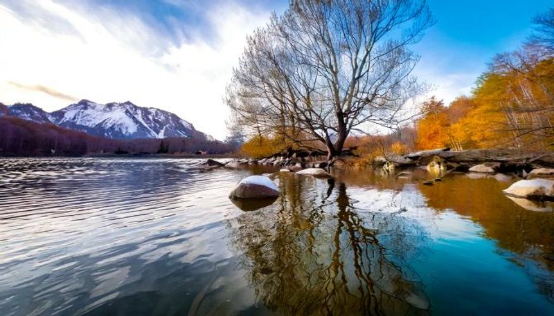 "Growth & Reflection"