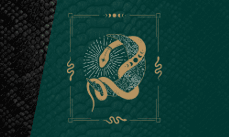 Rise 2025: Year of the Snake