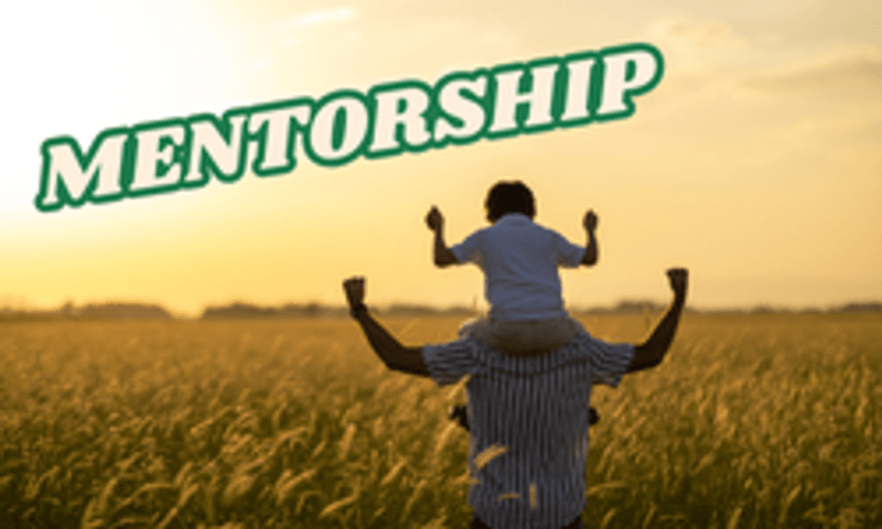 Mentorship Program