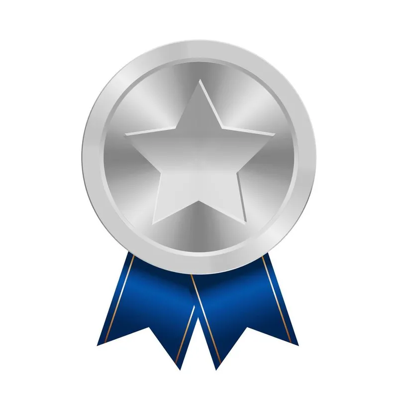 Silver Level