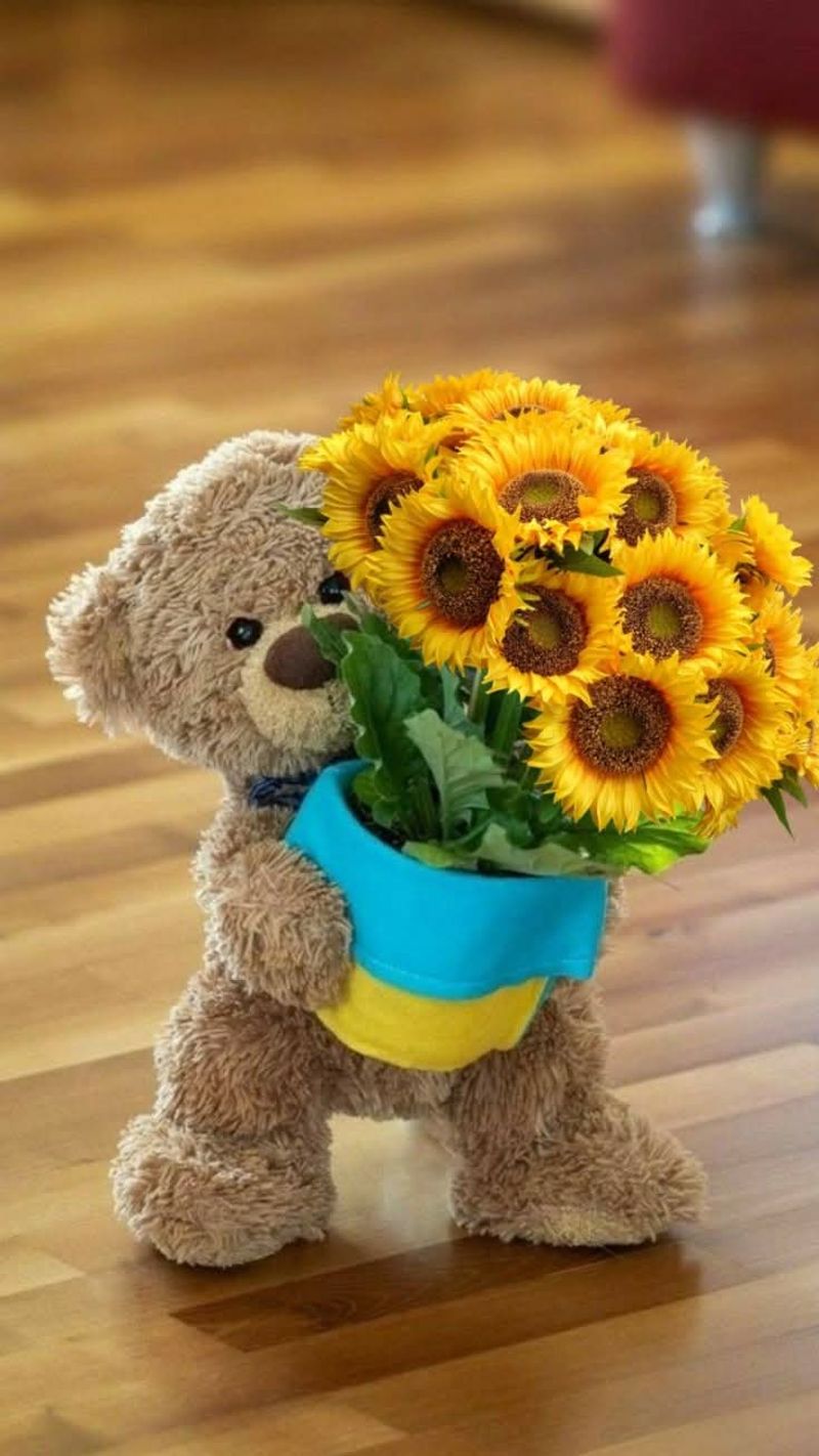 Sunflower 🌻 lover