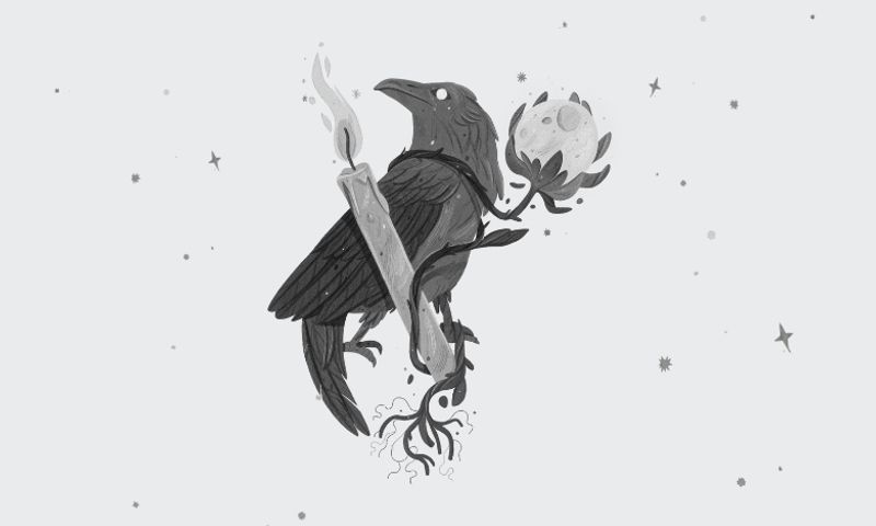🌑The Crow & the Moon