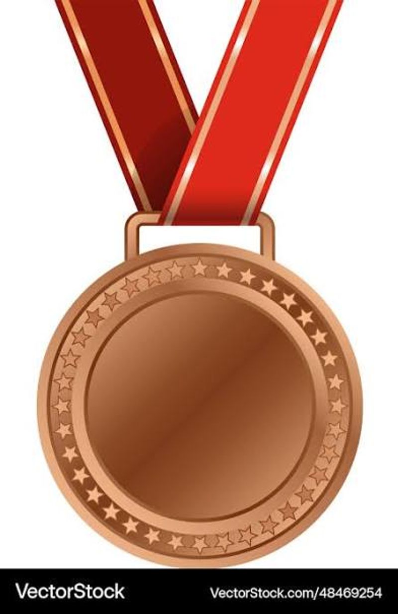 Bronze Level