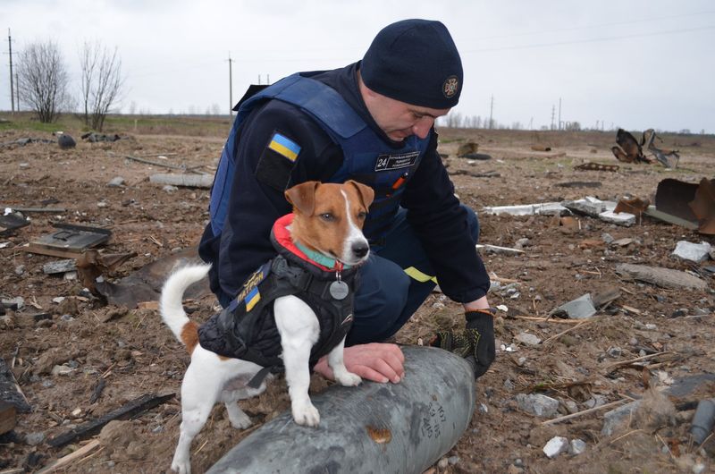 EOD Helper