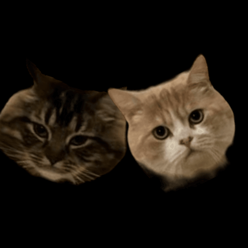 Cat Food Gold