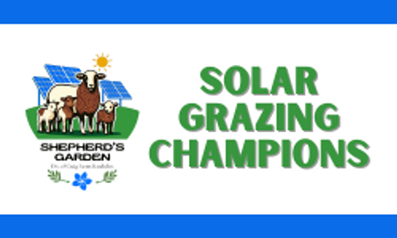 Solar Grazing Champions