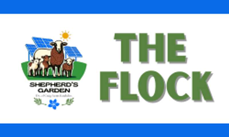 Join the flock