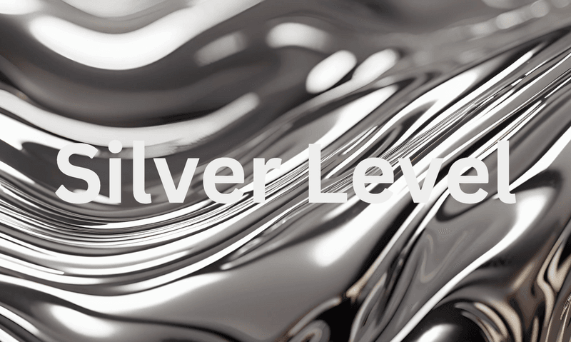 Silver Level