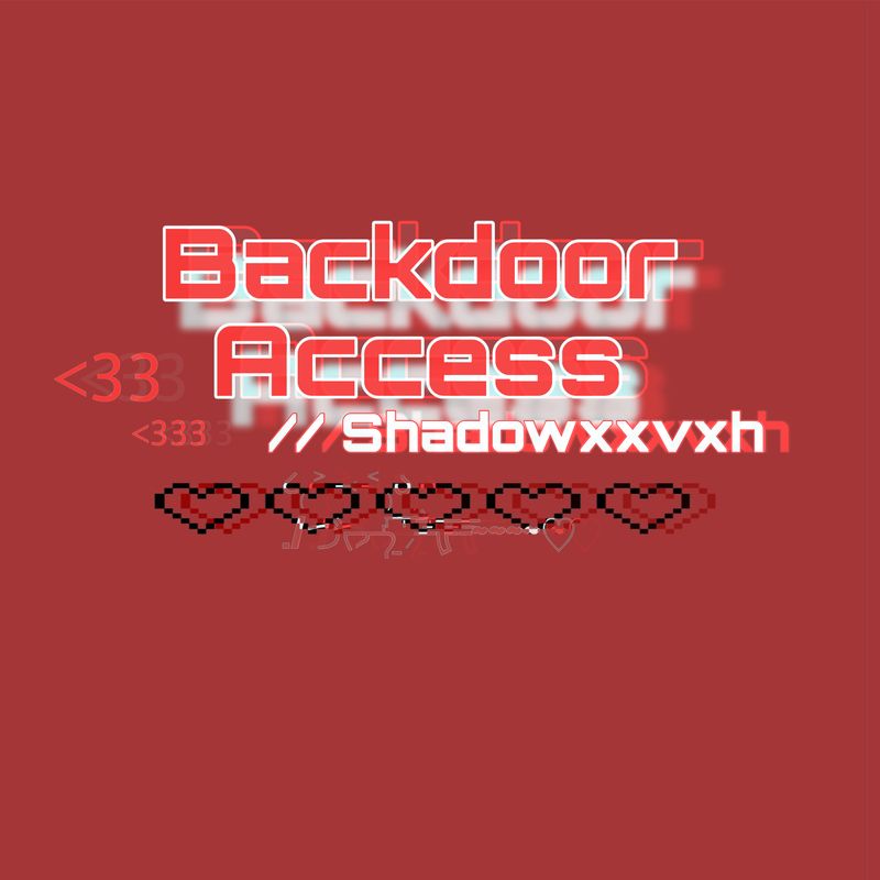 Backdoor Access