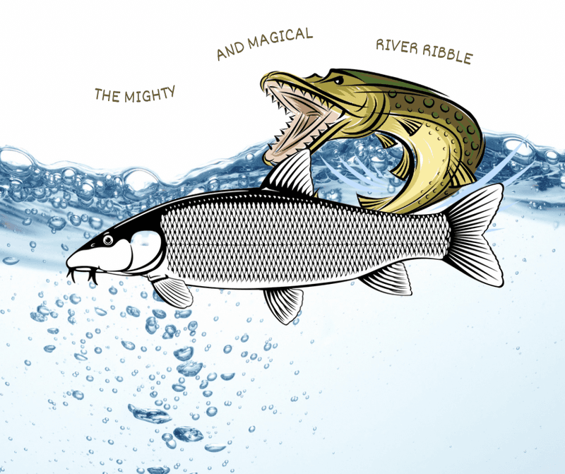 The River Keepers
