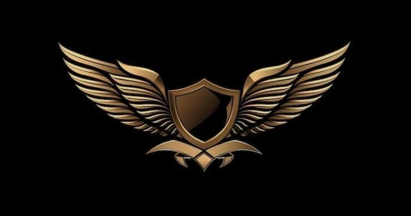 Bronze Level