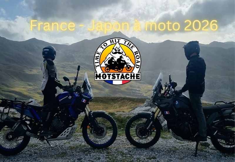 Motstache Gold Rider