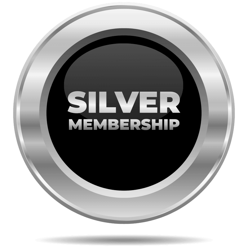 silver level