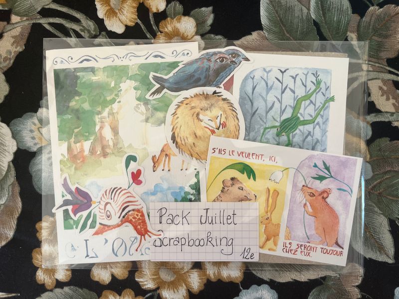 Abonnement Pack Scrapbooking