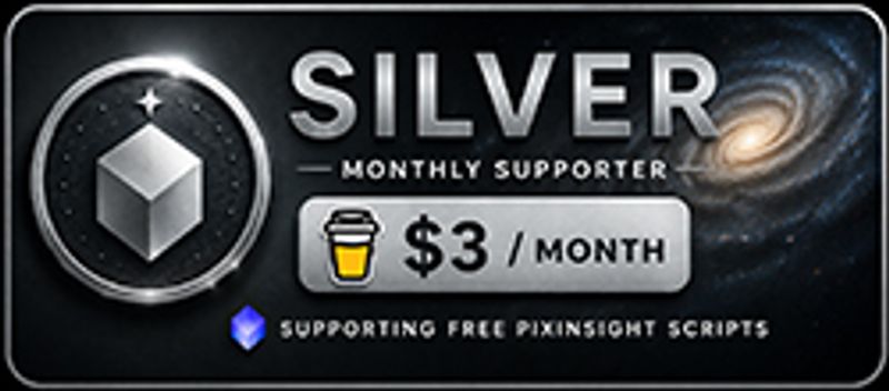 Silver Level