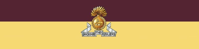 LF Website Volunteer Support