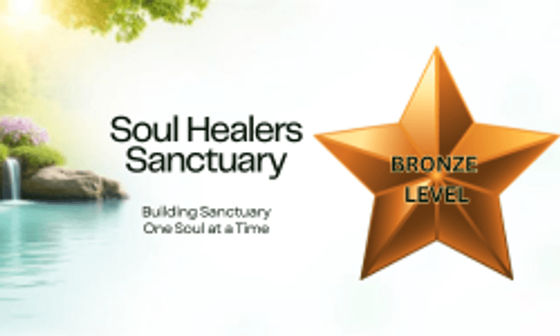 Bronze Soul Healers
