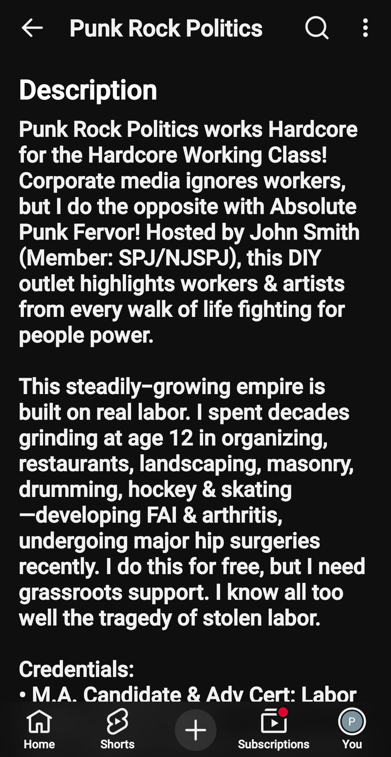 Punk Rock Revoltutionary