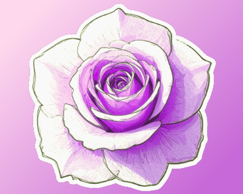 🌷 Rose Tip 🌷