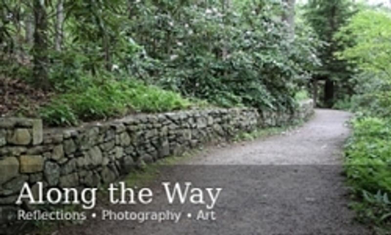 Along the Way