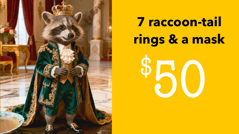 7 raccoon-tail rings and a mask