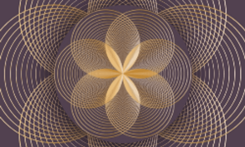 Sādhaka