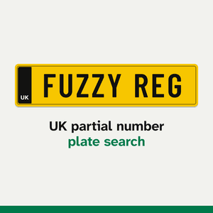 fuzzyreg