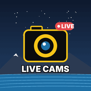 livecams