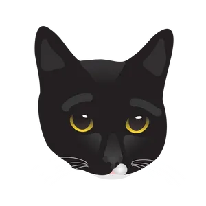 BuyMeACoffee profile picture for @audrey
