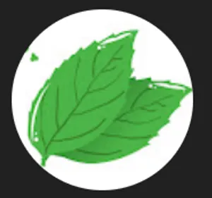 BuyMeACoffee profile picture for @Minty