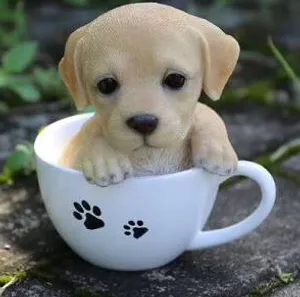 BuyMeACoffee profile picture for @Labrador