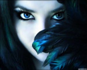 imlogsacen2