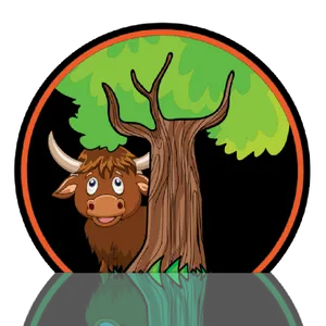 BuyMeACoffee profile picture for @hiding