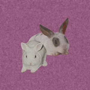 BuyMeACoffee profile picture for @mfg
