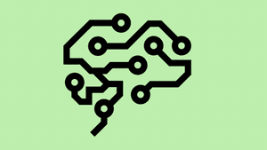 thewisepath