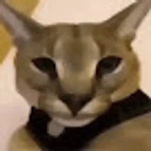 BuyMeACoffee profile picture for @Hecker