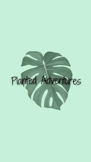 BuyMeACoffee profile picture for @Planted