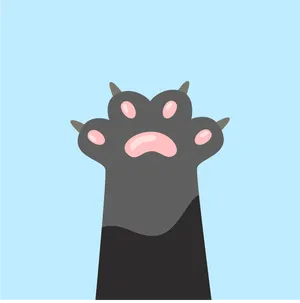 BuyMeACoffee profile picture for @searching