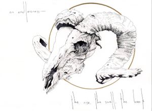 marrowandink