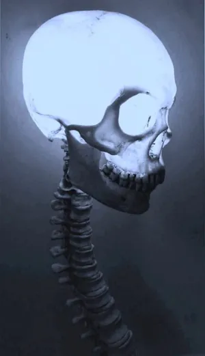 BuyMeACoffee profile picture for @Chiropractic