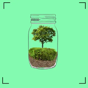 BuyMeACoffee profile picture for @ecosystems