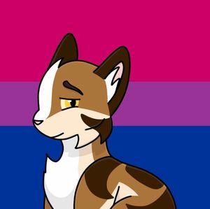 ceolsonart