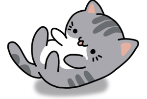 kittycattym