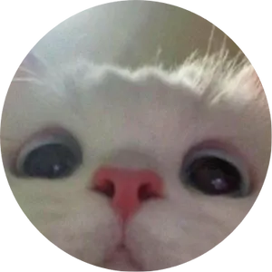 BuyMeACoffee profile picture for @jimi