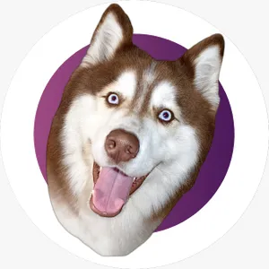 BuyMeACoffee profile picture for @Alaskan