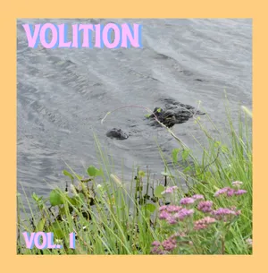 BuyMeACoffee profile picture for @volition