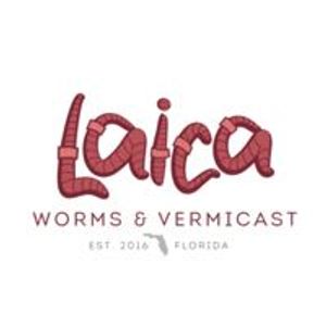 Laica Worms