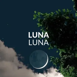 BuyMeACoffee profile picture for @lunaluna