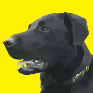 BuyMeACoffee profile picture for @barking
